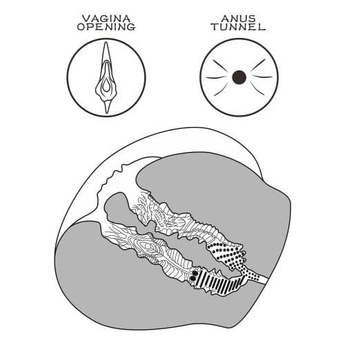 Thumbnail for image at index 4
