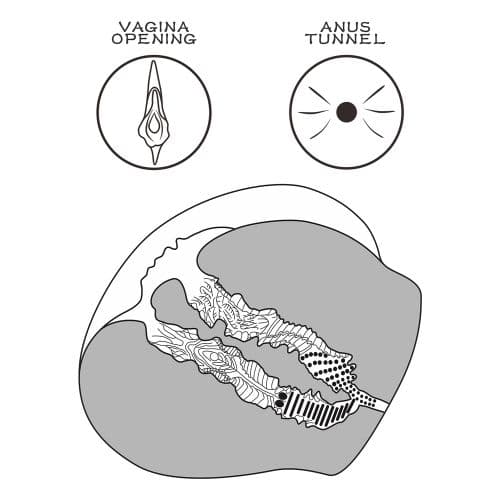 Thumbnail for image at index 4