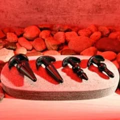 Thumbnail for image at index 2