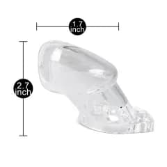 Thumbnail for image at index 1