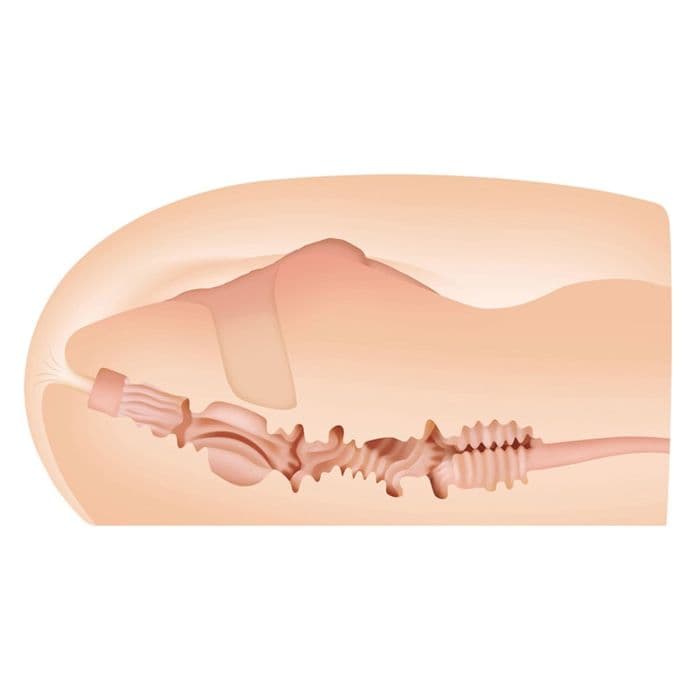 Thumbnail for image at index 1