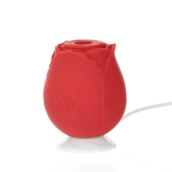 Thumbnail for image at index 1